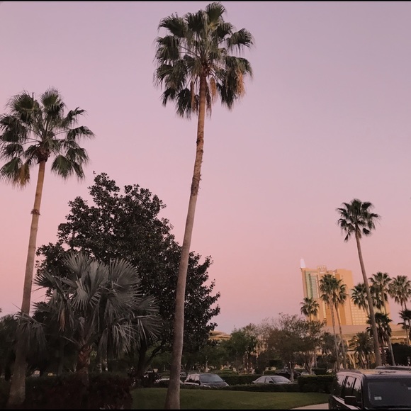 Meet your Posher, Blythe - Picture 1 of 1